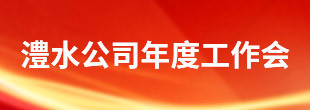 优德88官方网站公司年度工作会